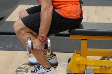 Dumbell Squats