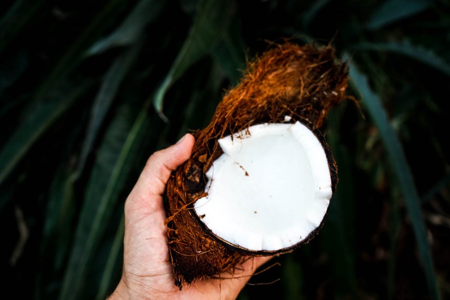 Is coconut oil good for you?